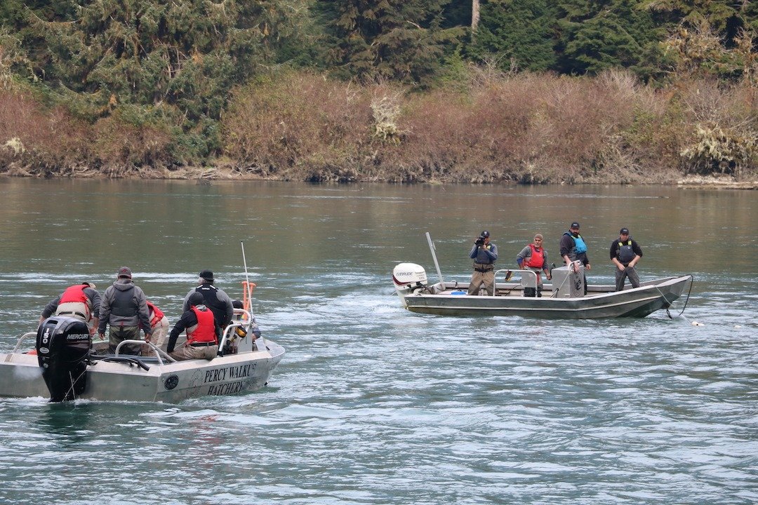 The Percy Walkus Hatchery Marathon