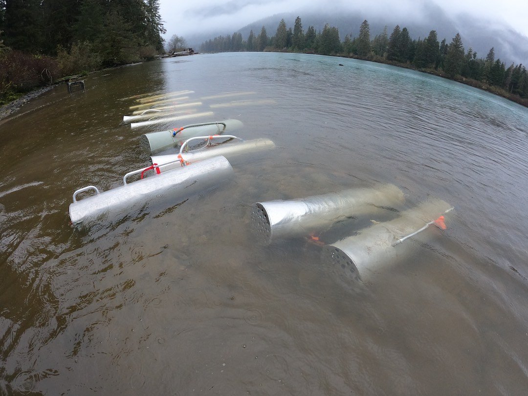 The Percy Walkus Hatchery Marathon