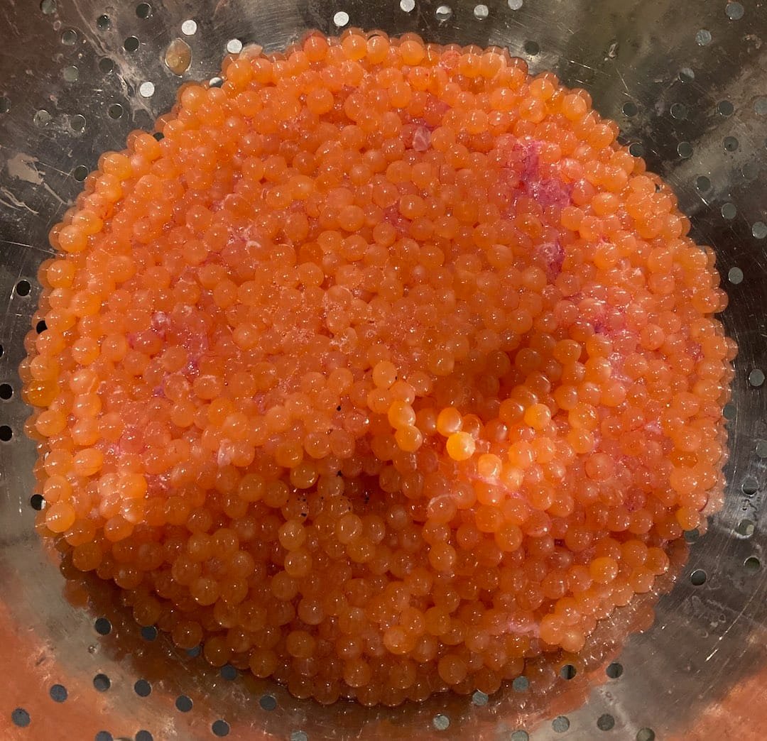 Curing Salmon Roe for Bait or Caviar