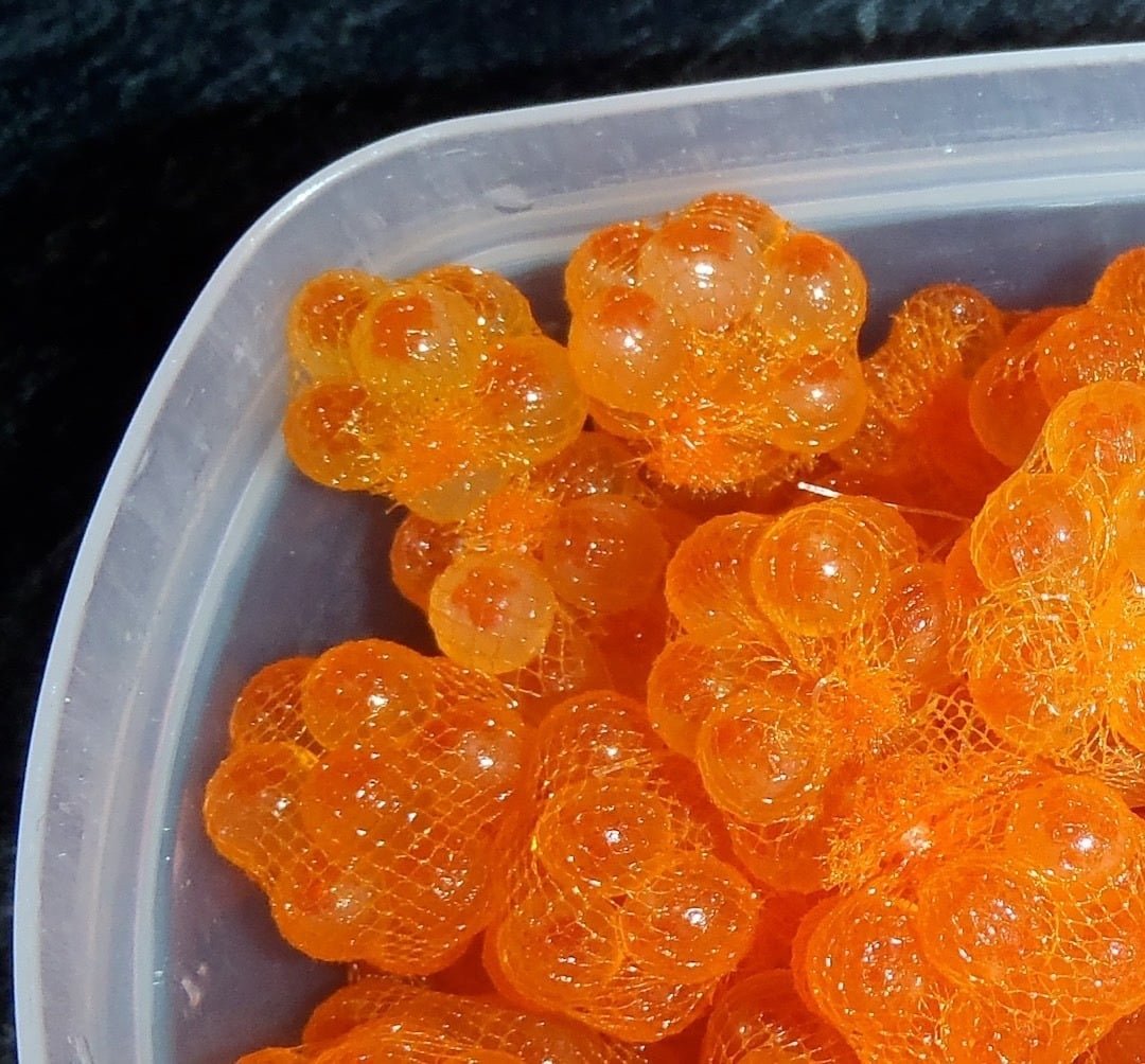 Curing Salmon Roe for Bait or Caviar