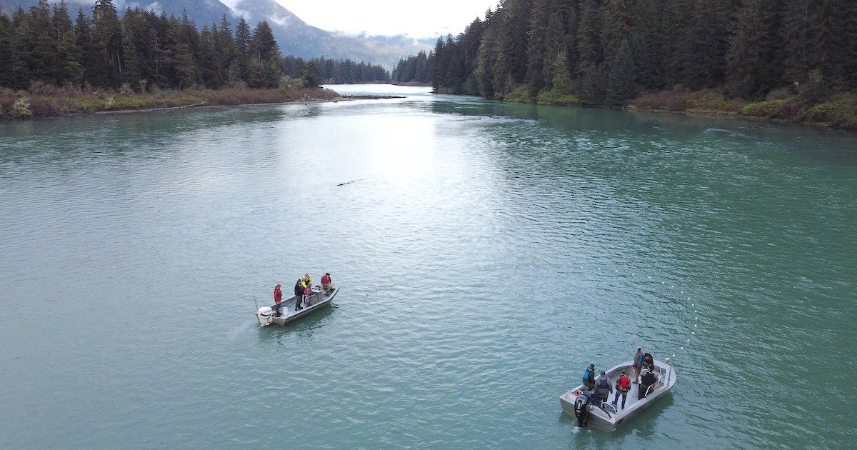 The Percy Walkus Hatchery Marathon