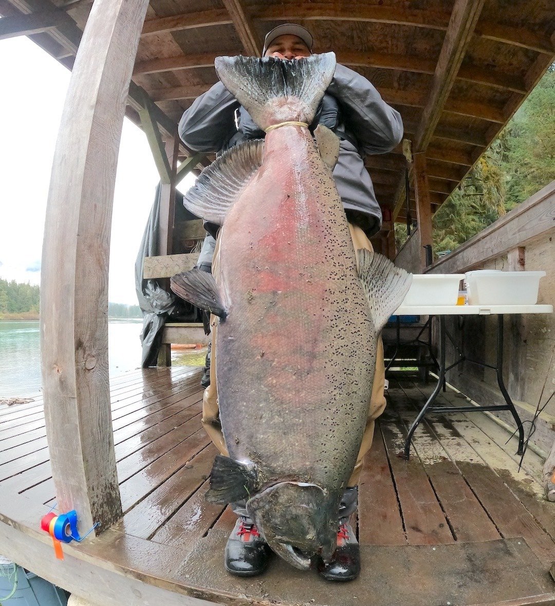 The Percy Walkus Hatchery Marathon