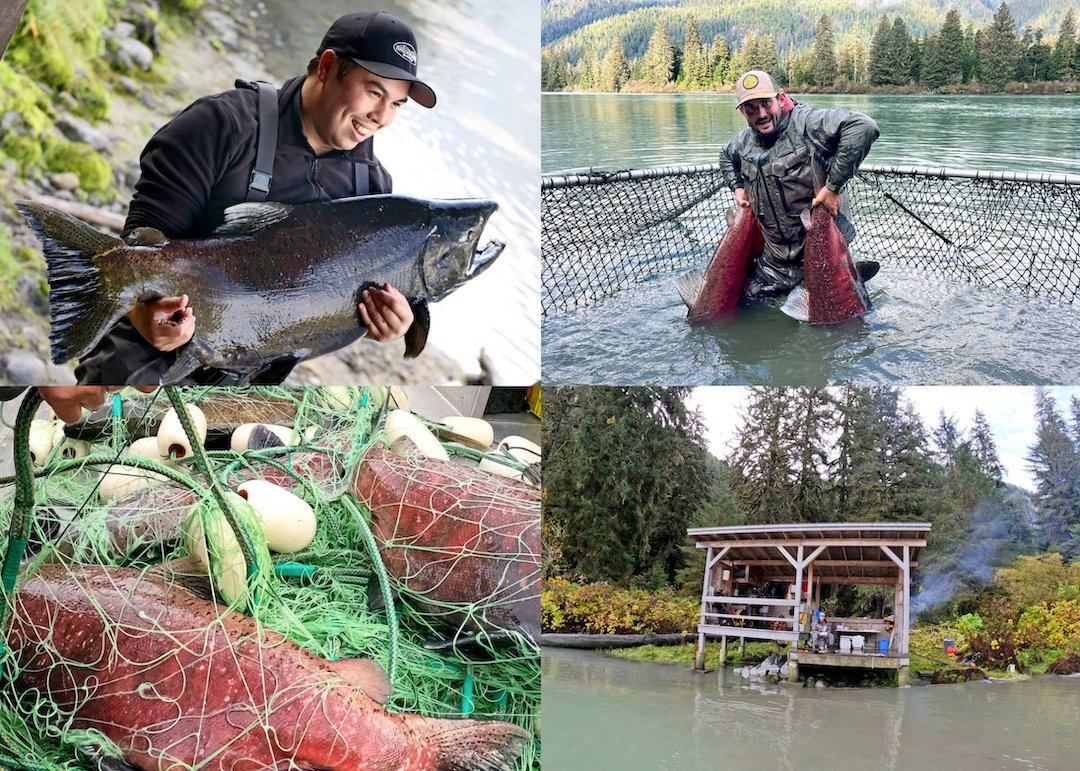 The Percy Walkus Hatchery Marathon