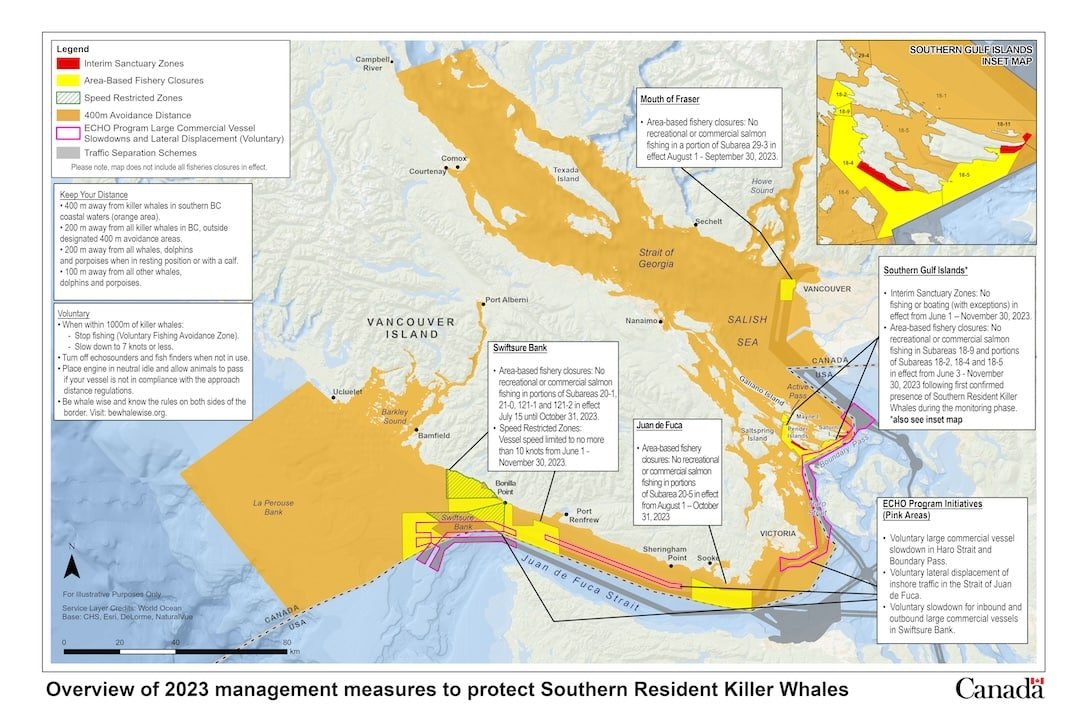 Opinion: DFO Staff Developing the SRKW Strategy Spend Little Time on the Water