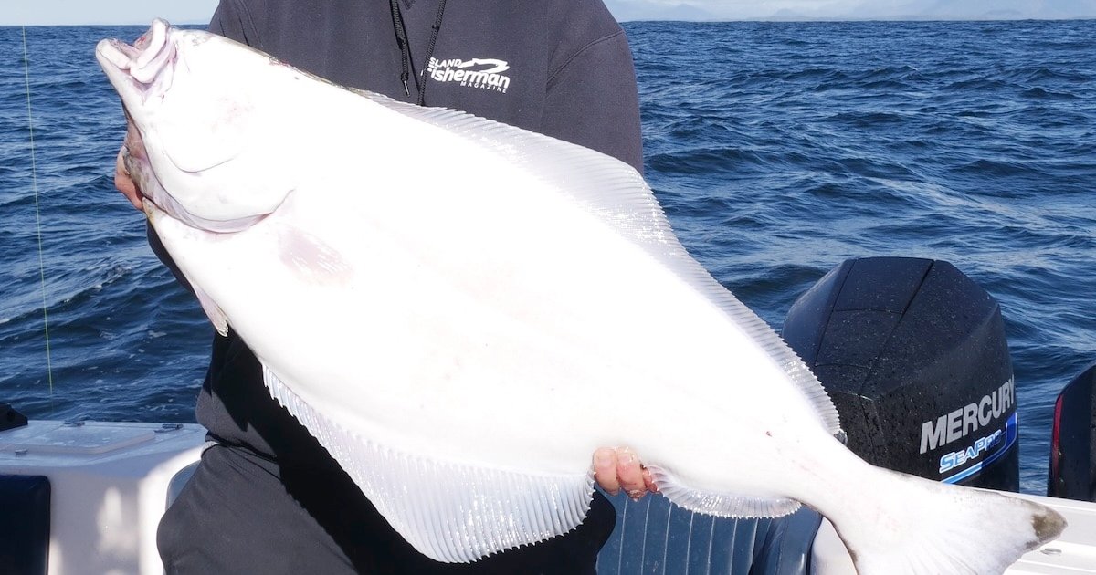 A person holding a large halibut while standing on a boat in the ocean, showcasing the fish's distinctive flat shape and white coloration.