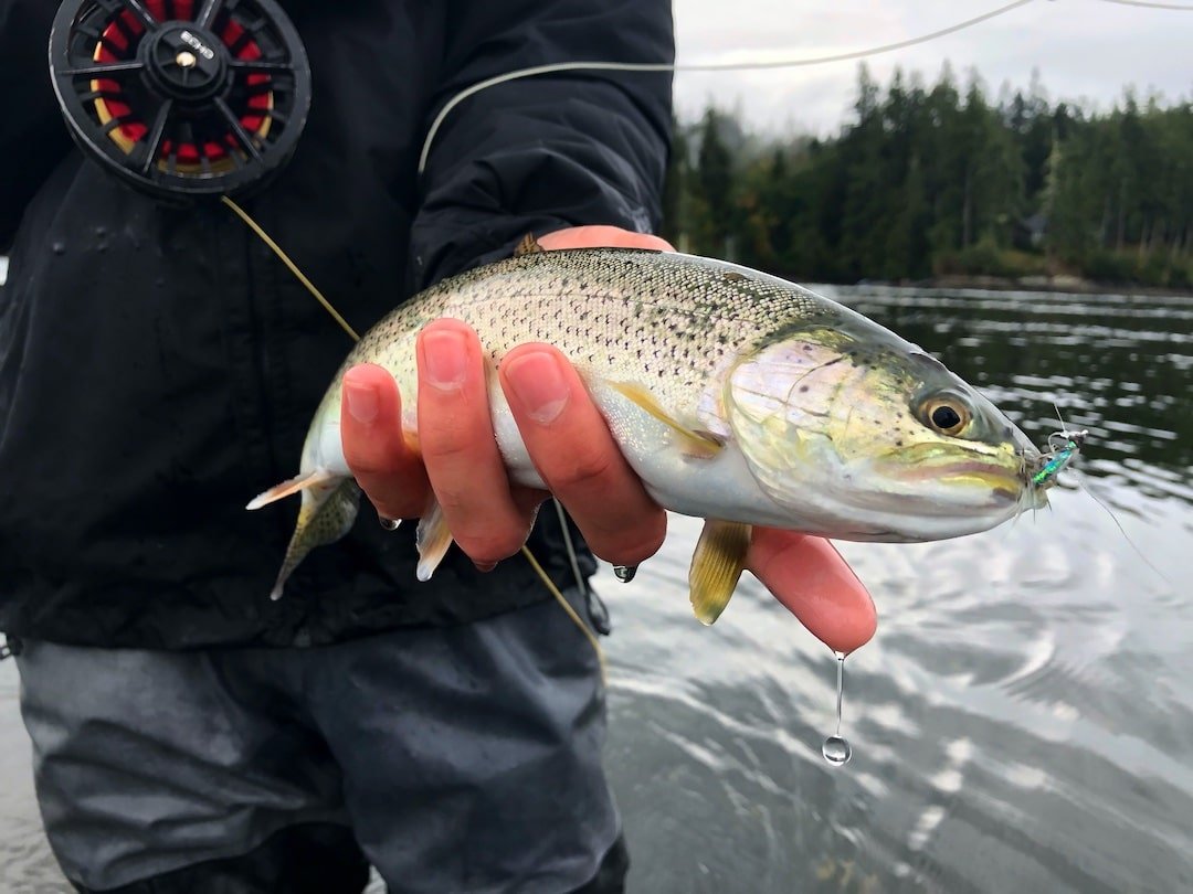 Winter Fishing for Sea-Run Cutthroat Trout in Coastal BC
