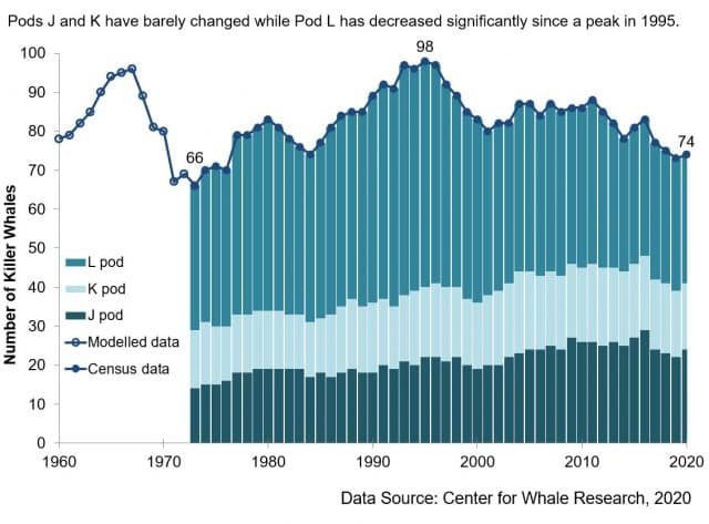 The Southern Resident Killer Whale Survey Closes Feb. 12, 2024