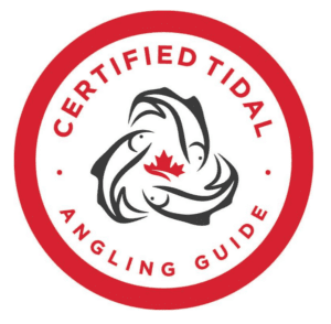 What is The Sport Fishing Institute of British Columbia?