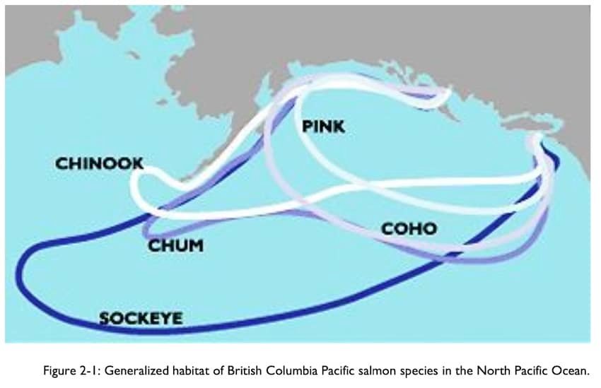 What is an Integrated Fisheries Management Plan (IFMP)?