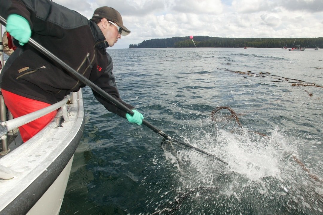 What is The Sport Fishing Institute of British Columbia?