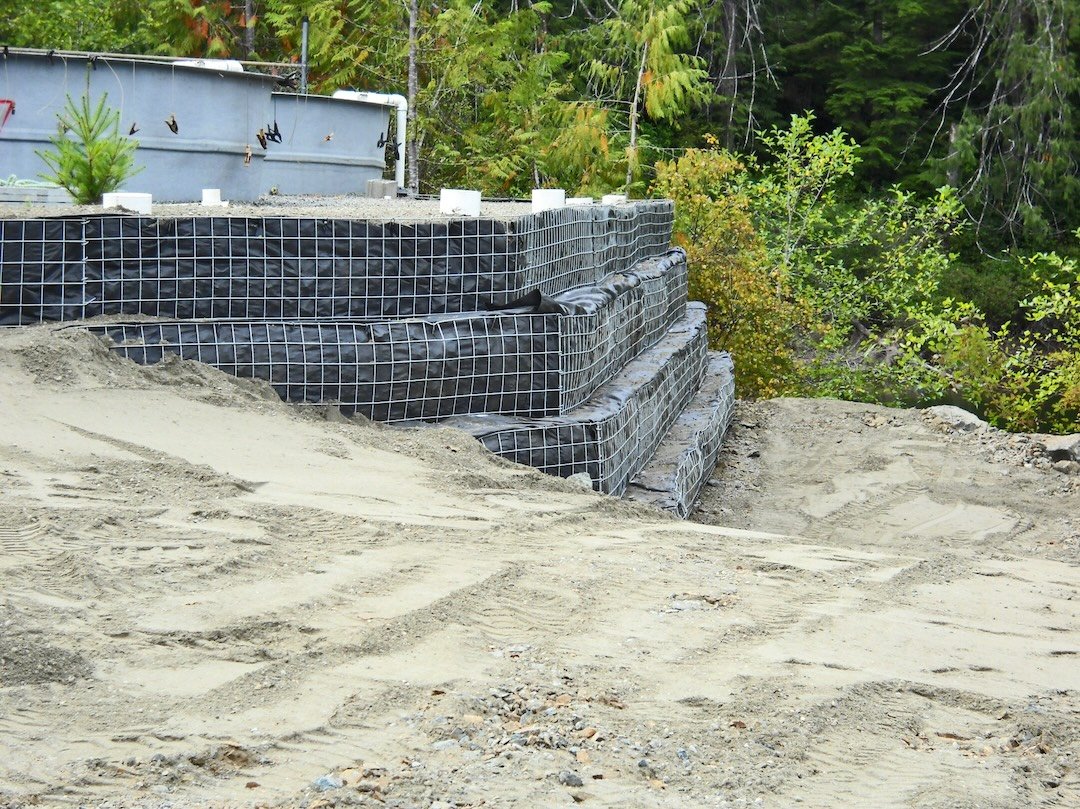 Salmon Dedication: From Monkey Creek to the Marble River