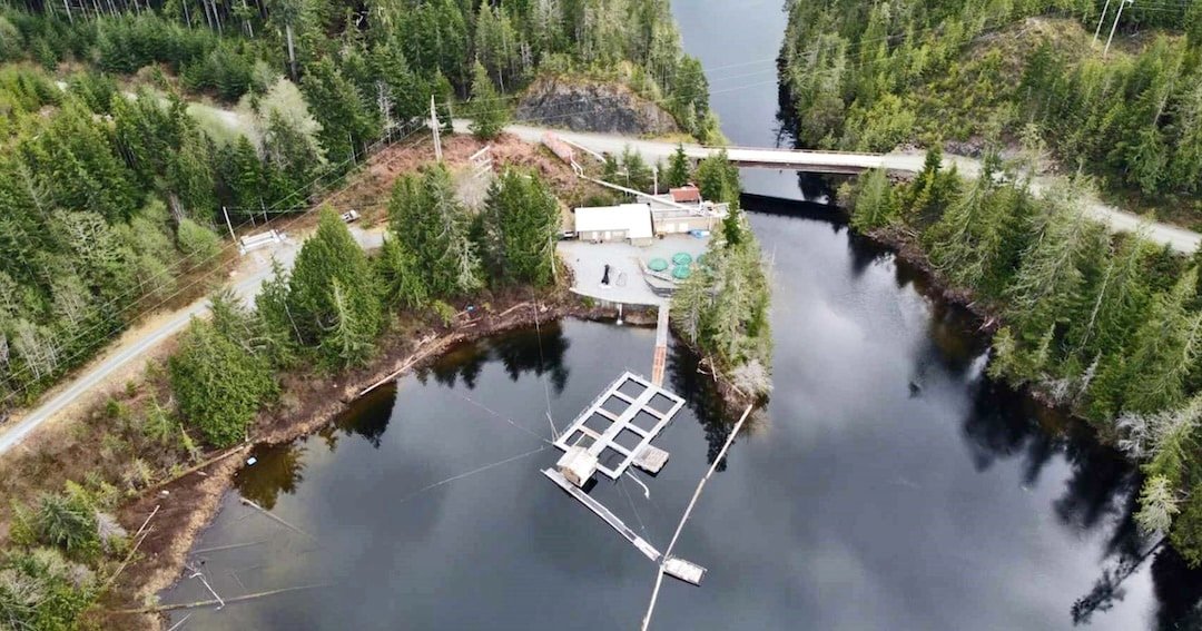 Aerial view of Marble River Hatchery with fish pens in the water, surrounded by trees and a road in the background.