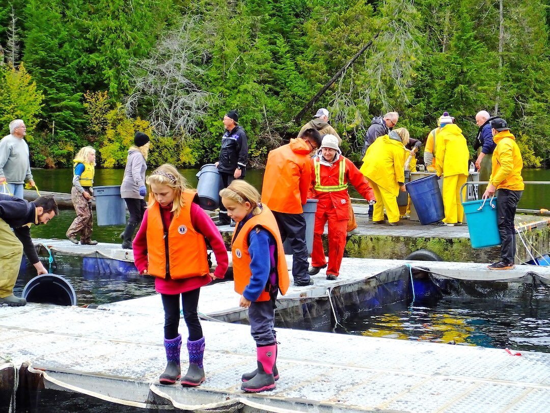 Salmon Dedication: From Monkey Creek to the Marble River