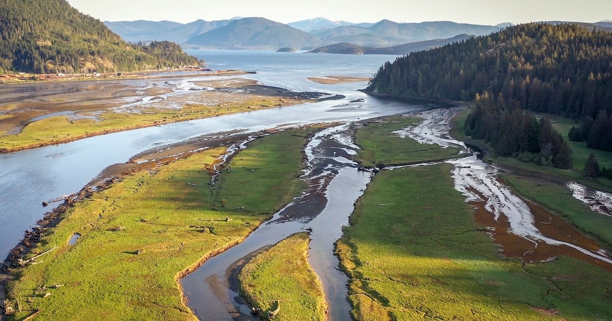 Aerial view of a river estuary with winding waterways and green banks, surrounded by mountains and a clear sky.