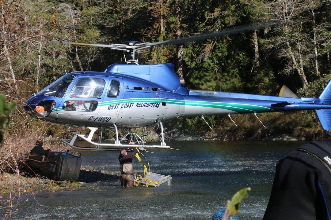 Salmon Dedication: From Monkey Creek to the Marble River
