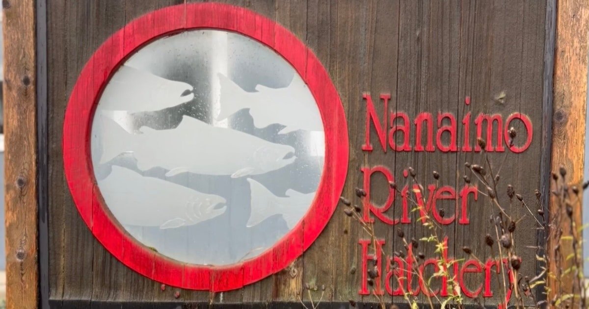 Sign for Nanaimo River Hatchery featuring a red circular design with fish silhouettes and the text 'Nanaimo River Hatchery' in bold letters.