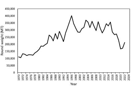 Re-think What We Know About Salmon