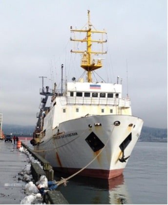 Re-think What We Know About Salmon