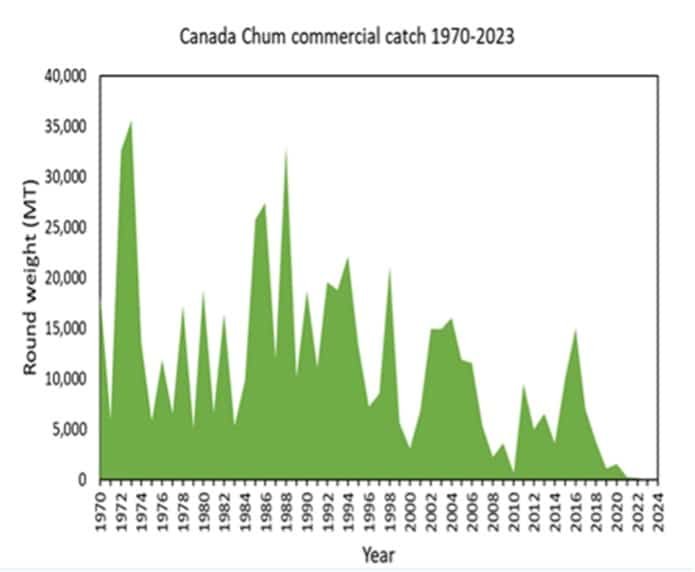 Re-think What We Know About Salmon