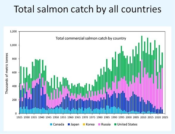 Re-think What We Know About Salmon