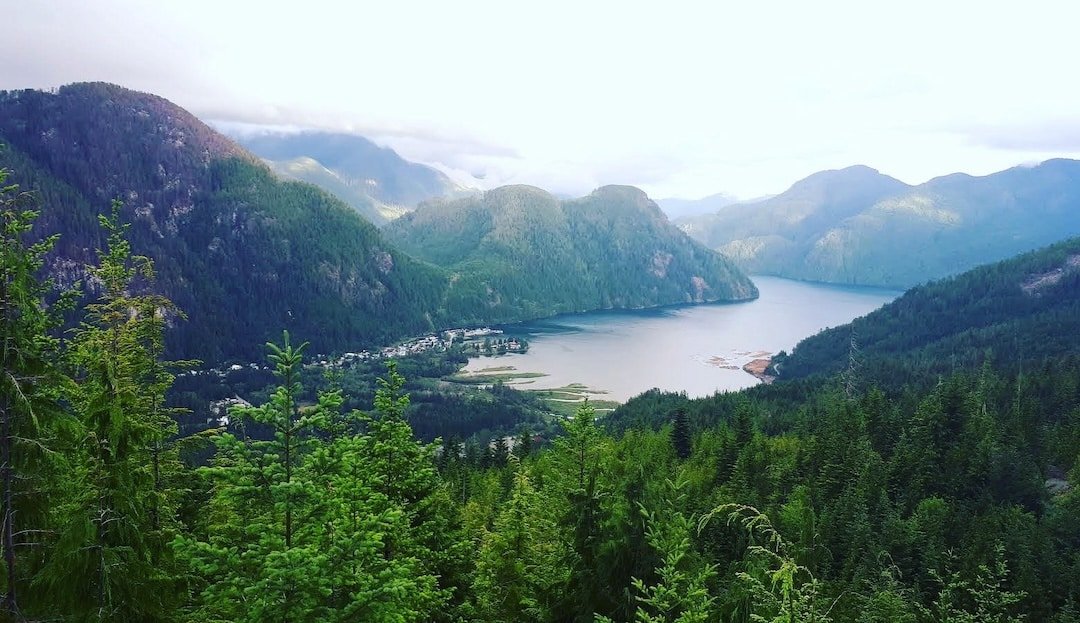 Reel Obsession Sport Fishing