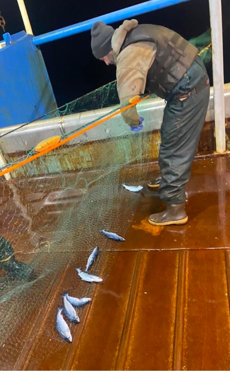 Re-think What We Know About Salmon