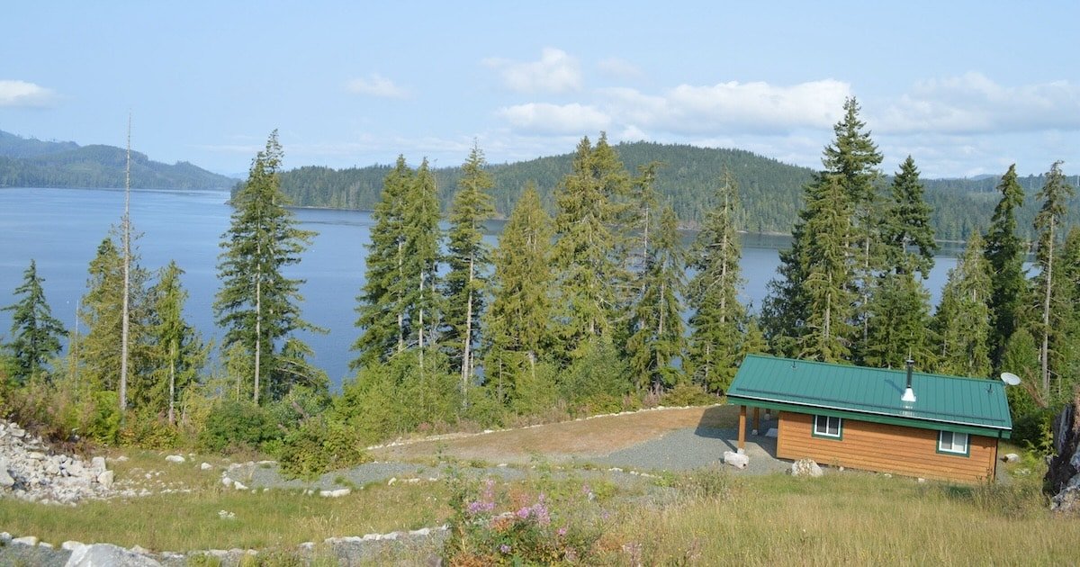 Wooden cabin with a green metal roof situated near a lake, surrounded by tall evergreen trees and a clear blue sky.