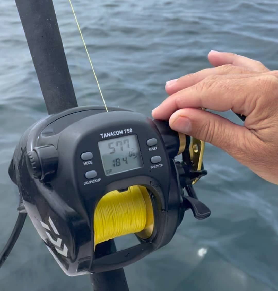 Electric Reels for Deepwater Fishing