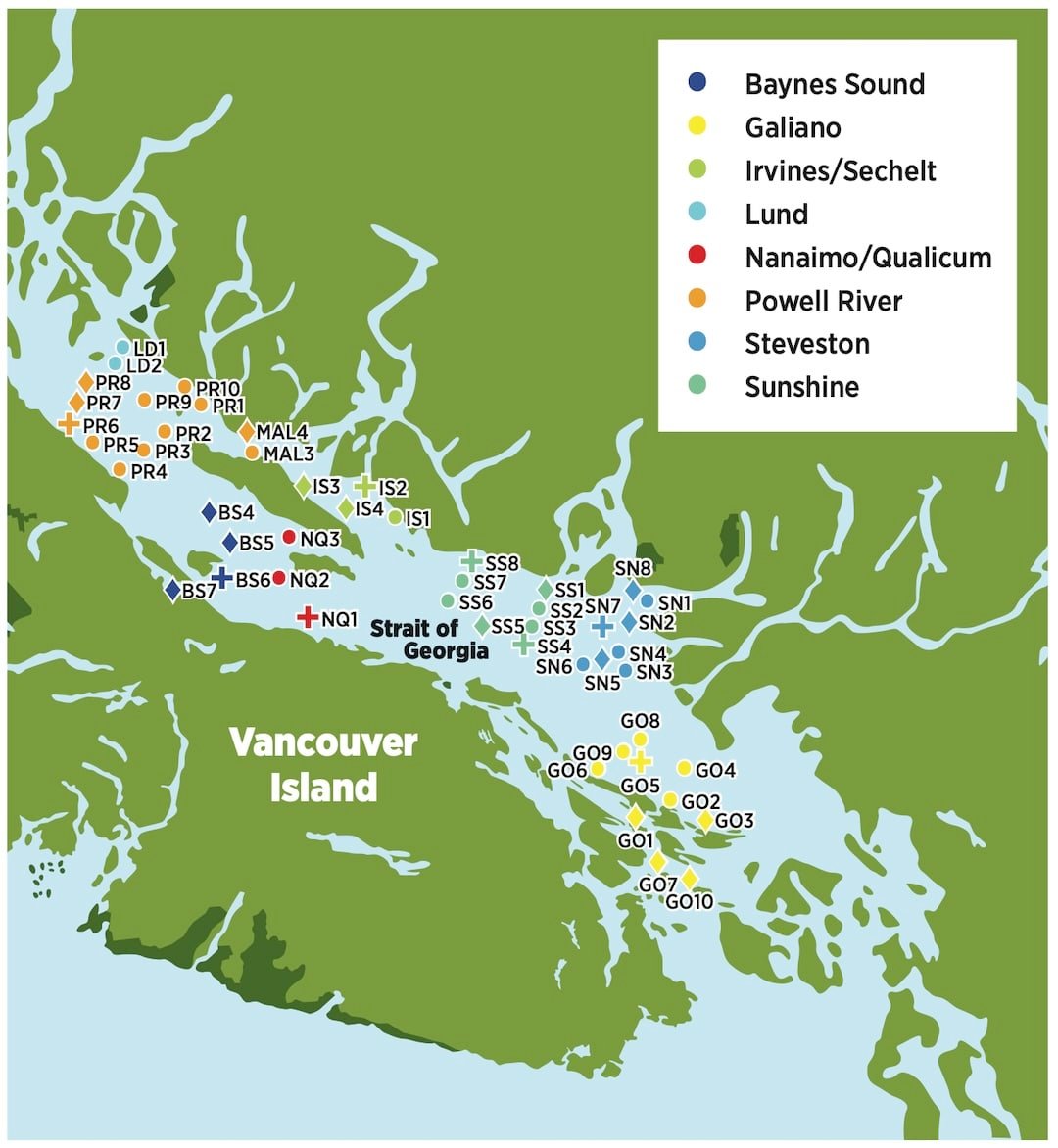 Unraveling the Mysteries of Harmful Algal Blooms in British Columbia’s Coastal Waters