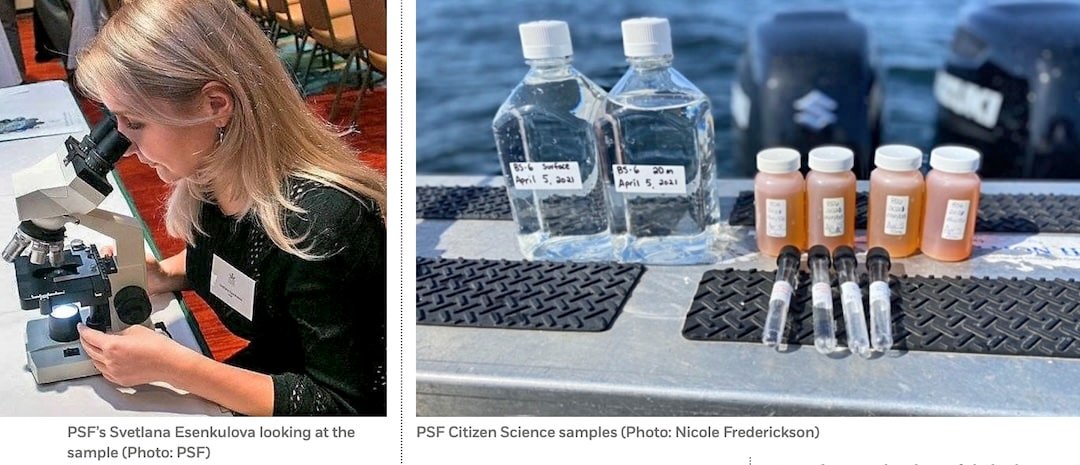 Unraveling the Mysteries of Harmful Algal Blooms in British Columbia’s Coastal Waters