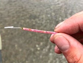 Demystifying Lake-Run Cutthroat Trout