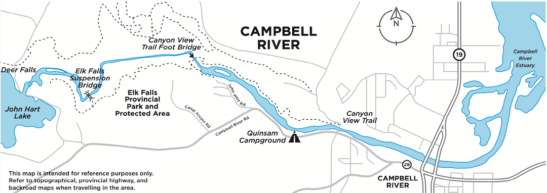 Pink Salmon in the Campbell River