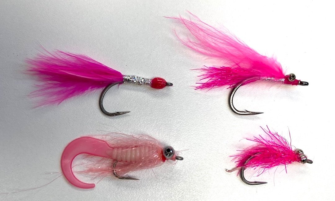 Pink Salmon in the Campbell River