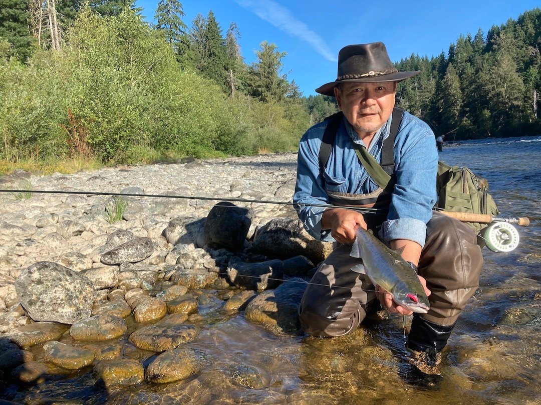Pink Salmon in the Campbell River