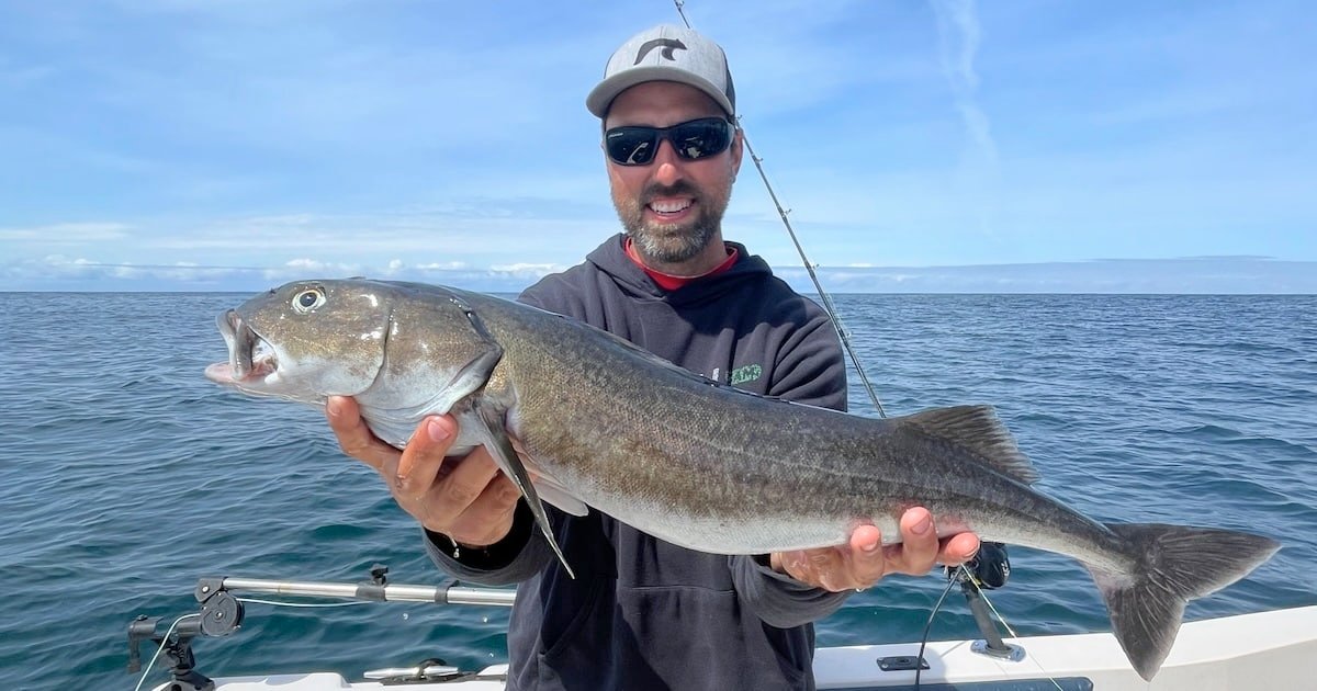 Man holding a sablefish while standing on a boat in the ocean, wearing sunglasses and a cap.