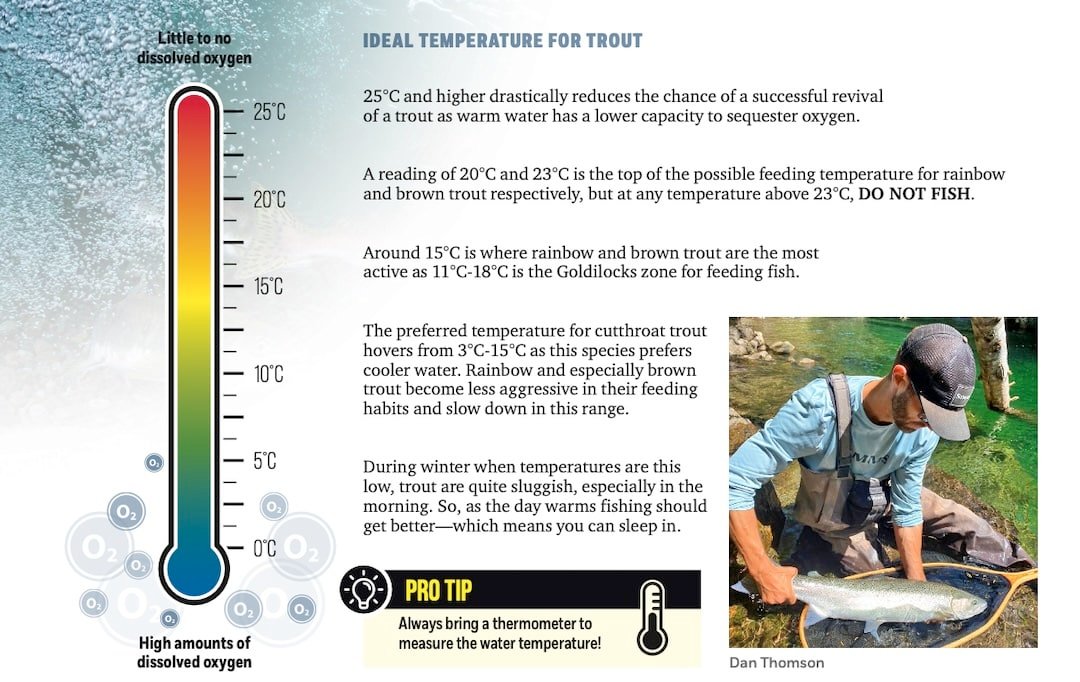 Effects of Temperature on Trout