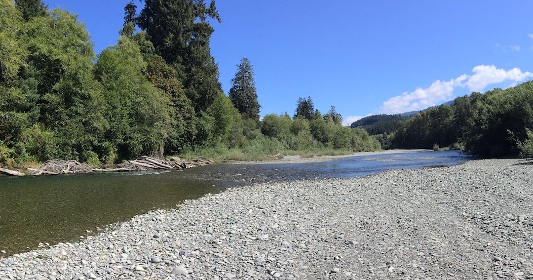 Effects of Temperature on Trout