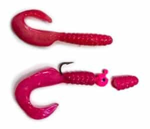 Pink Salmon in the Campbell River