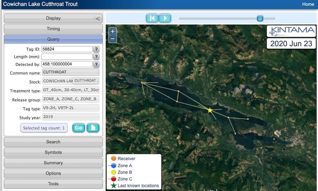 Demystifying Lake-Run Cutthroat Trout