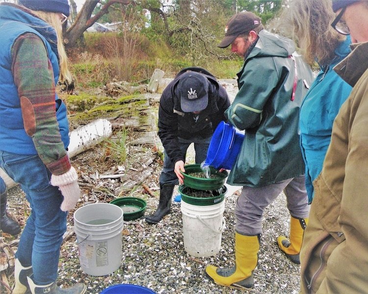 What Is A Streamkeeper?