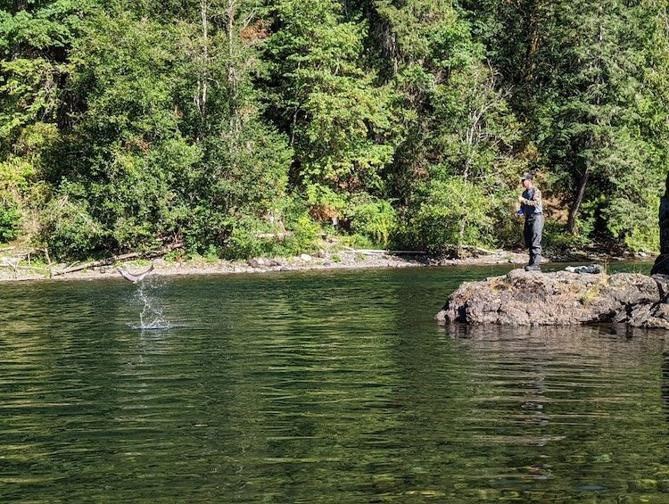 Fall Salmon fishing on Vancouver Island: Chip Benedict with a fresh Pink Salmon