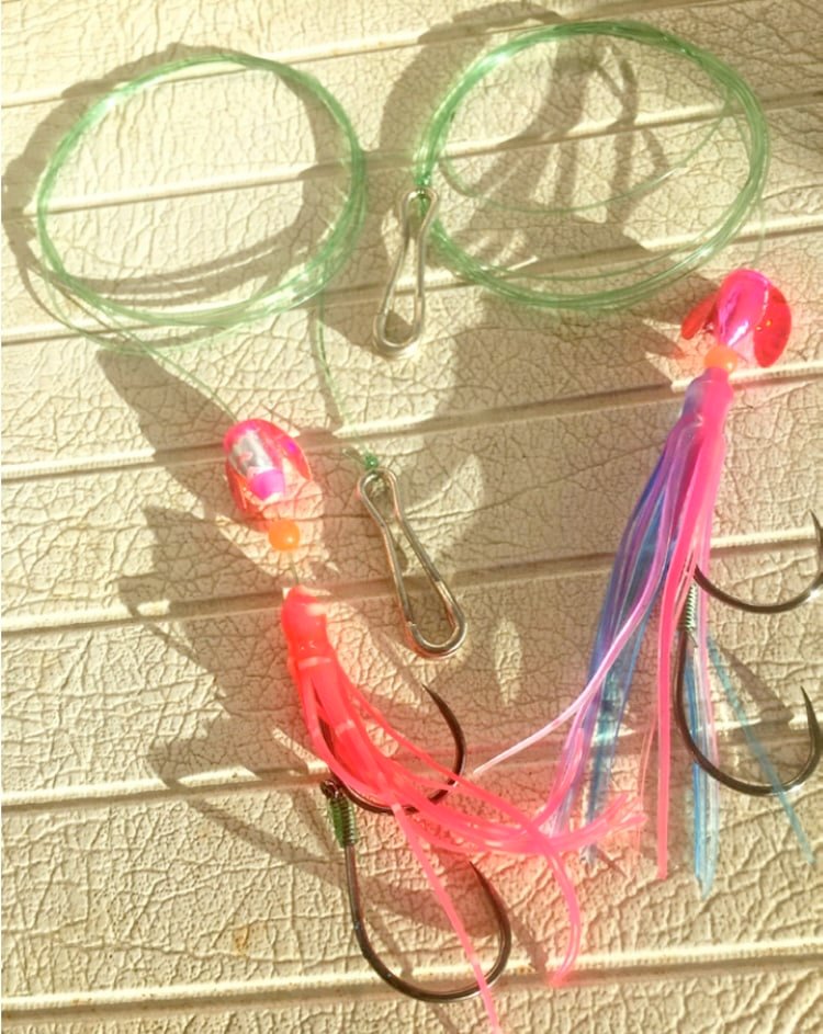 British Columbia Chum Salmon