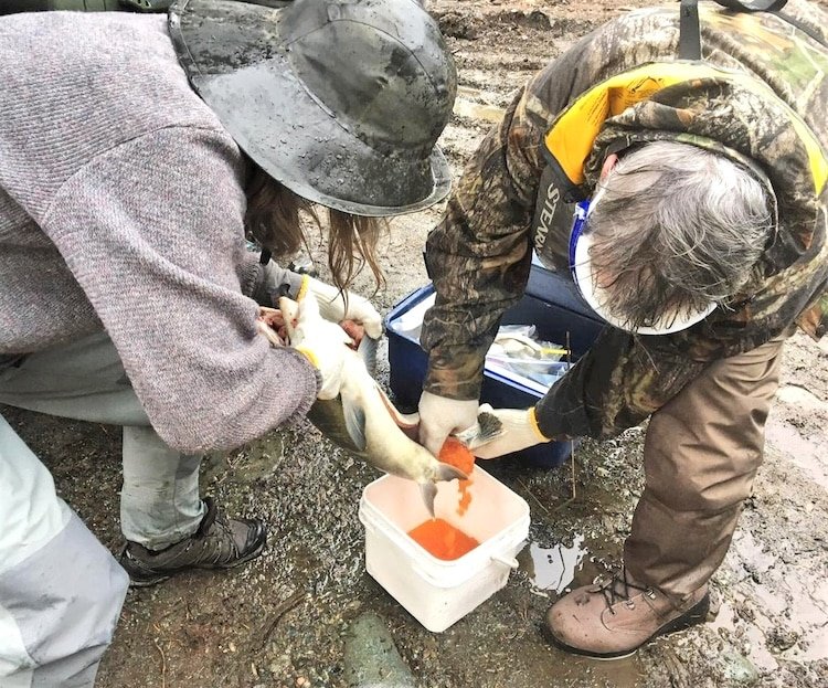 What Is A Streamkeeper?