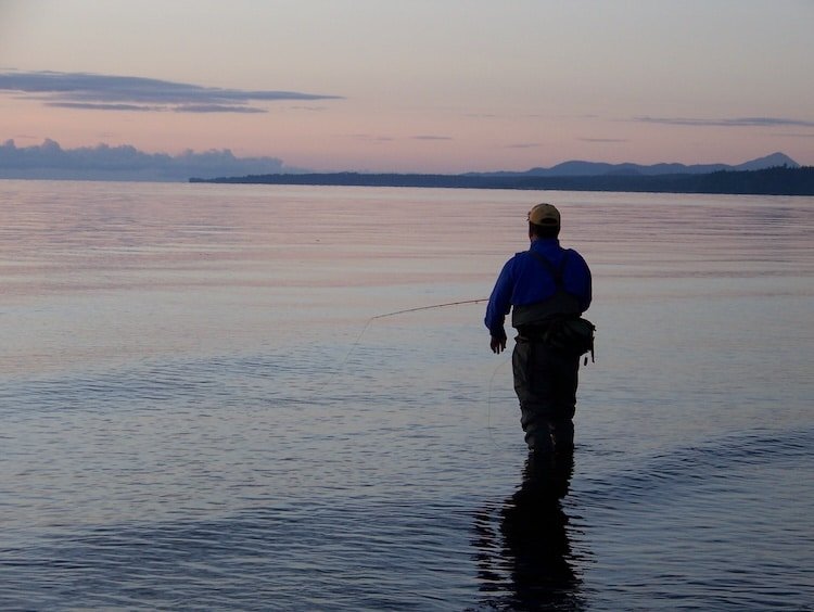 Fall Salmon Fly Fishing: A Beginner's Guide