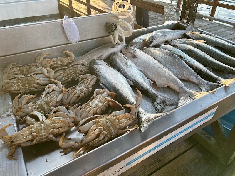 Victoria Fishing Report