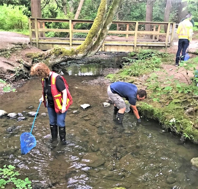 What Is A Streamkeeper?