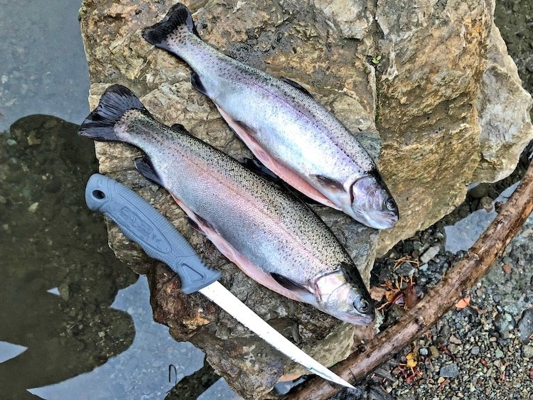 Urban Freshwater Fishing in Victoria, BC