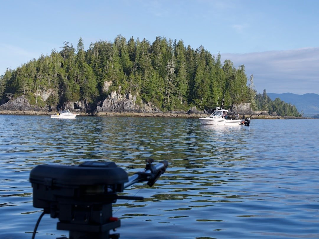 How to Book a Fishing Charter