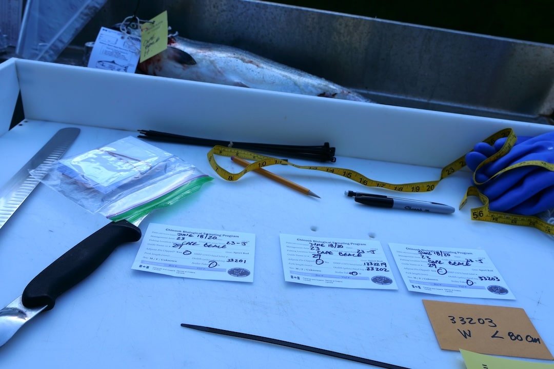 How to Book a Fishing Charter