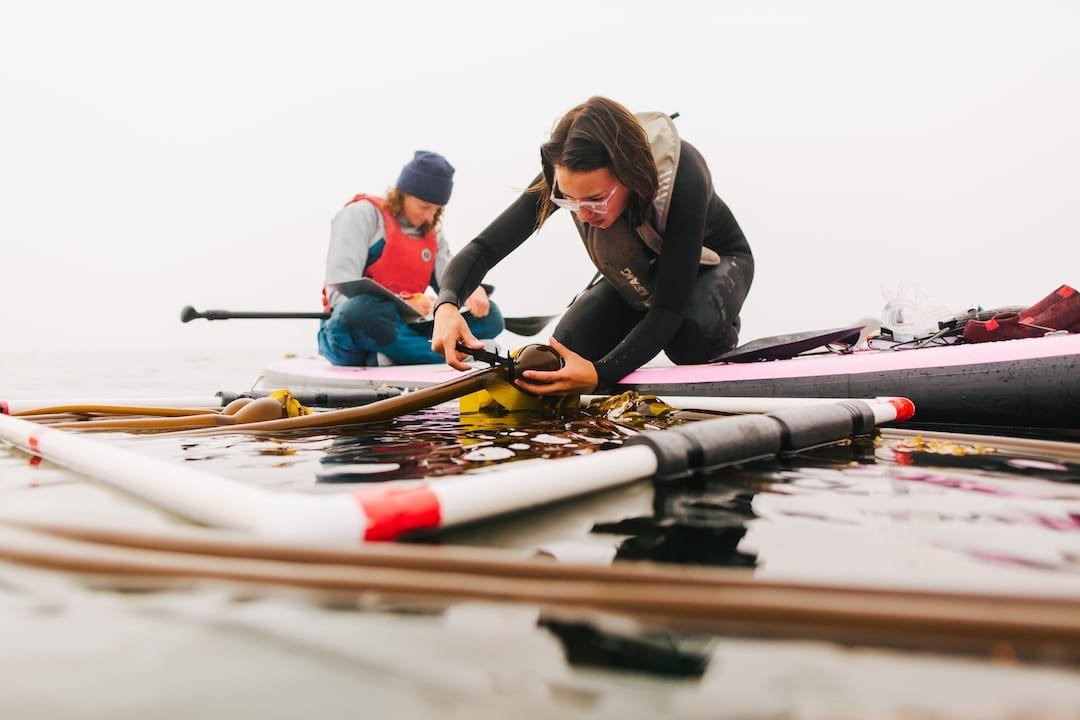 The Power of a $6.89 Salmon Stamp: Funding the Future of Pacific Salmon